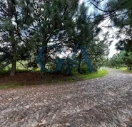 TERRENO EN VENTA TAPALPA