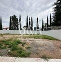PRE-VENTA JARDIN REAL