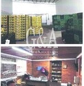 Empacadora de Aguacate