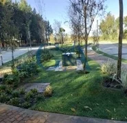 TERRENOS EN LA ESCONDIDA