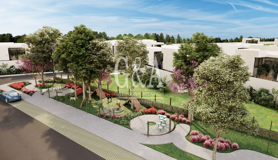 DESAROLLO WAYUUM MÉRIDA