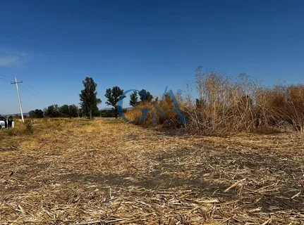 TERRENO EN VENTA EN IXTLAHUACAN DE LOS MEMBRILLOS
