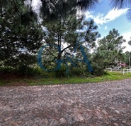 TERRENO EN VENTA TAPALPA