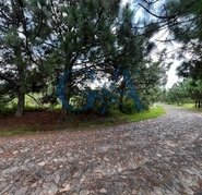 TERRENO EN VENTA TAPALPA