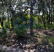 TERRENO EN VENTA EN EL CIELO TLAJOMULCO, JALISCO