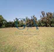 LOS SAUCES TERRENO EN COTO PRIVADO