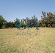 EXCELENTE TERRENO EN LOS SAUCES