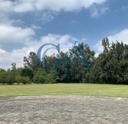 EXCELENTE TERRENO EN LOS SAUCES