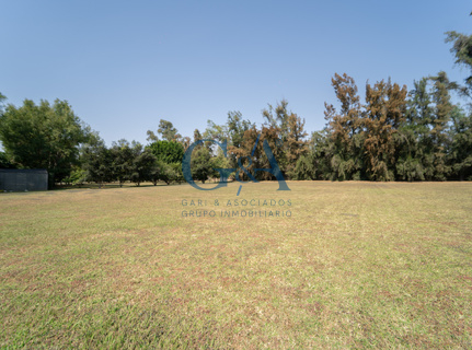 EXCELENTE TERRENO EN LOS SAUCES