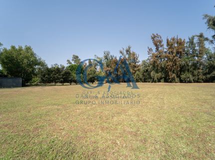 EXCELENTE TERRENO EN LOS SAUCES