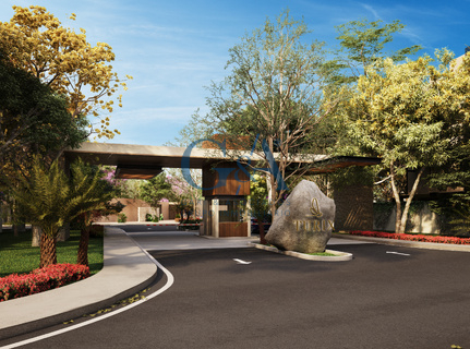 DESAROLLO WAYUUM MÉRIDA