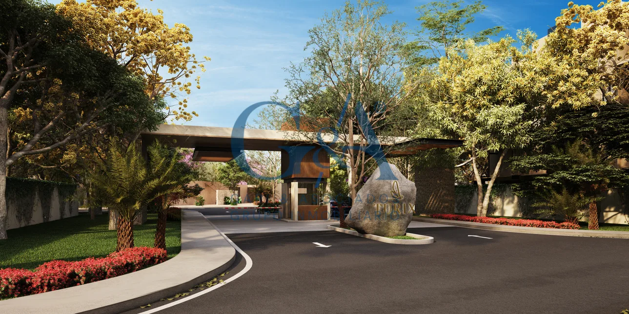 DESAROLLO WAYUUM MÉRIDA